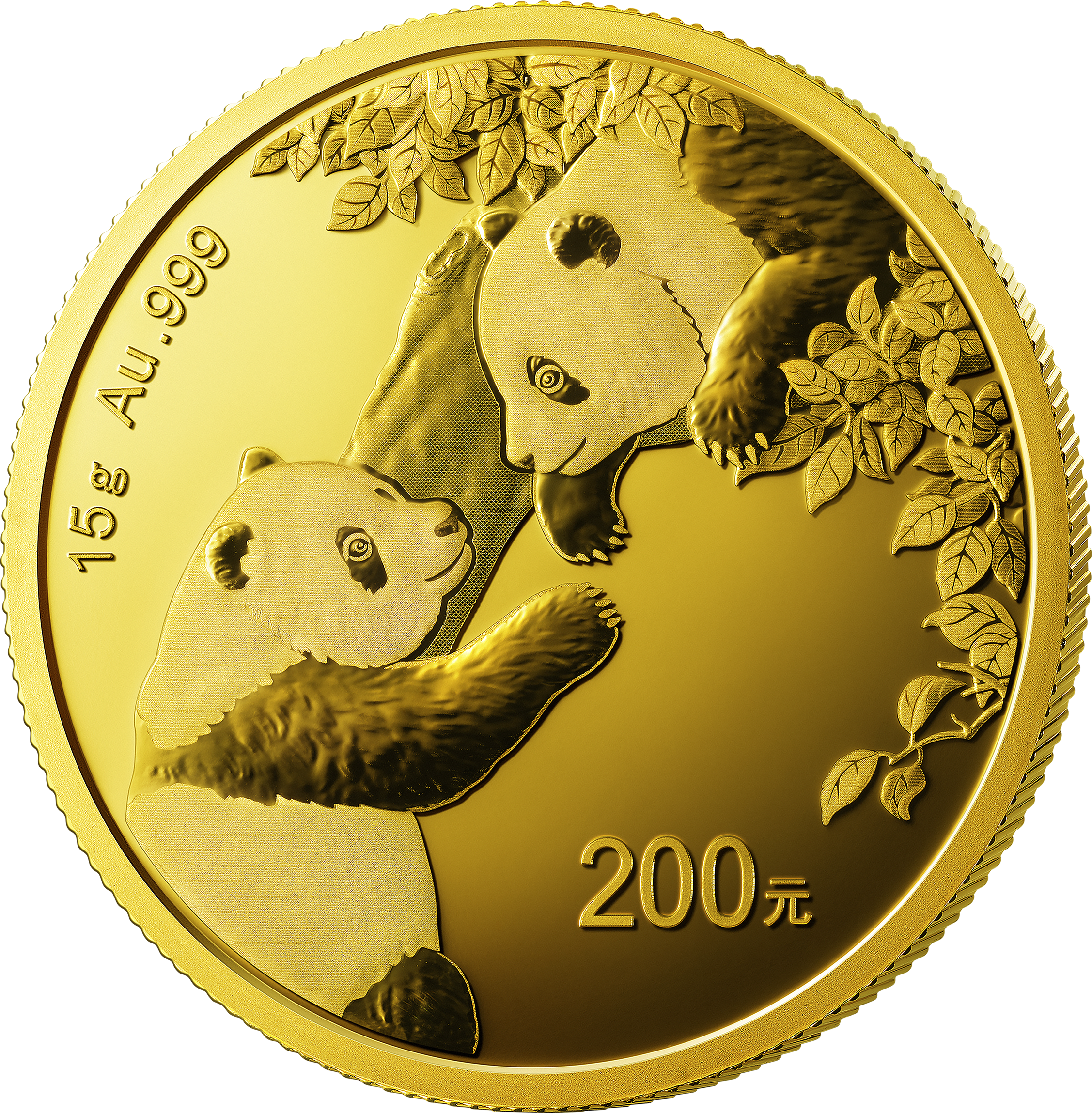 2023 china panda gold coin15g