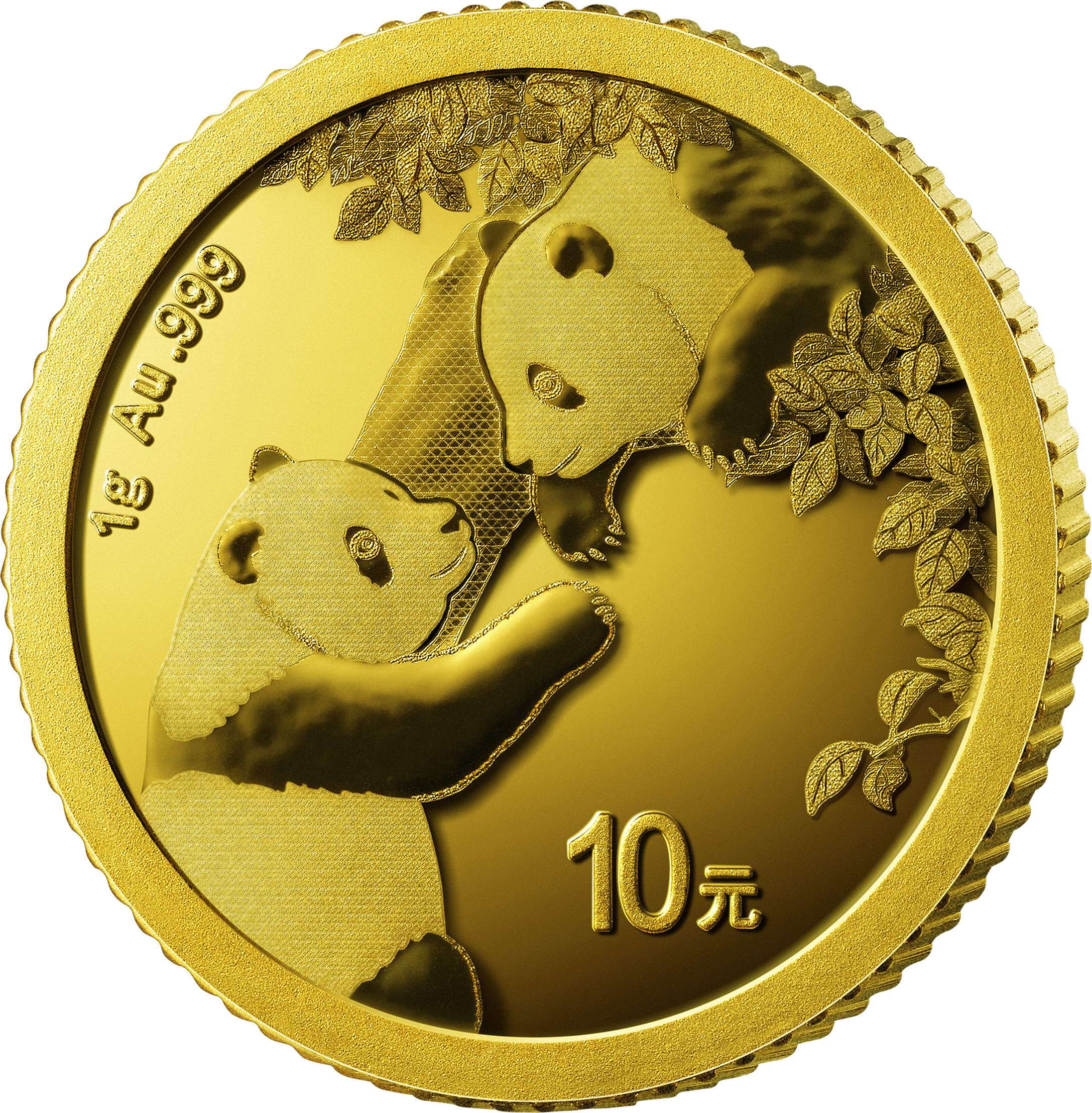 2023 china panda gold coin 1g