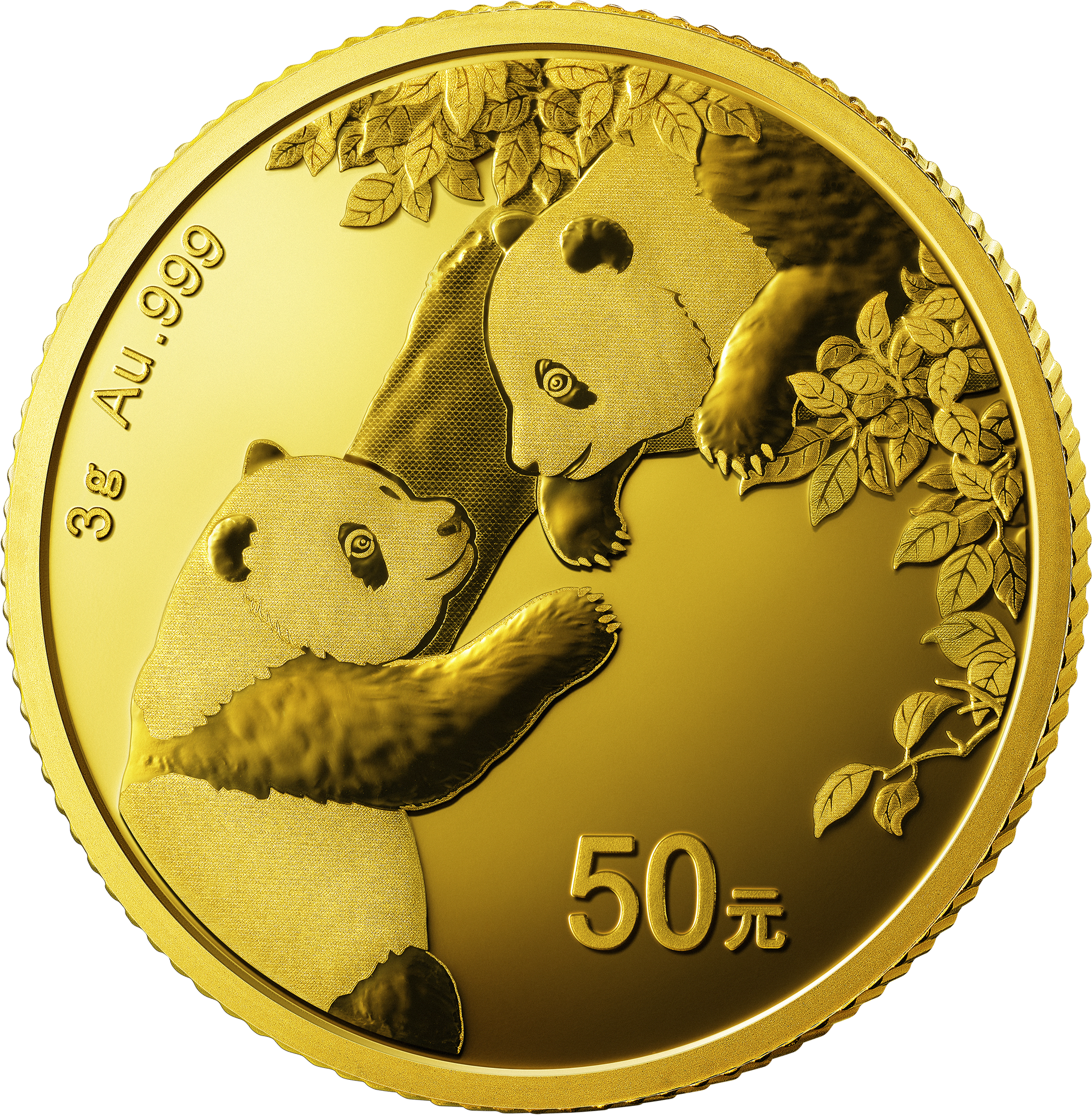 2023 china panda gold coin 3g