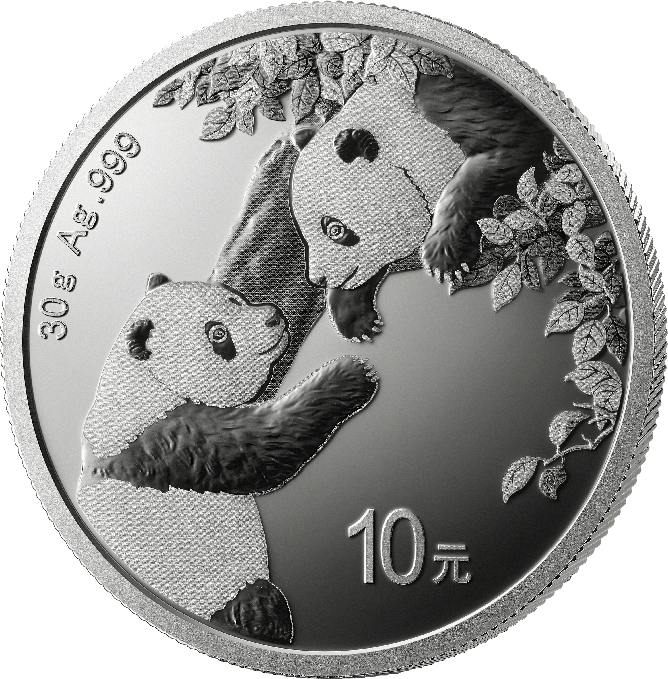 2023 china panda silver coin 30g